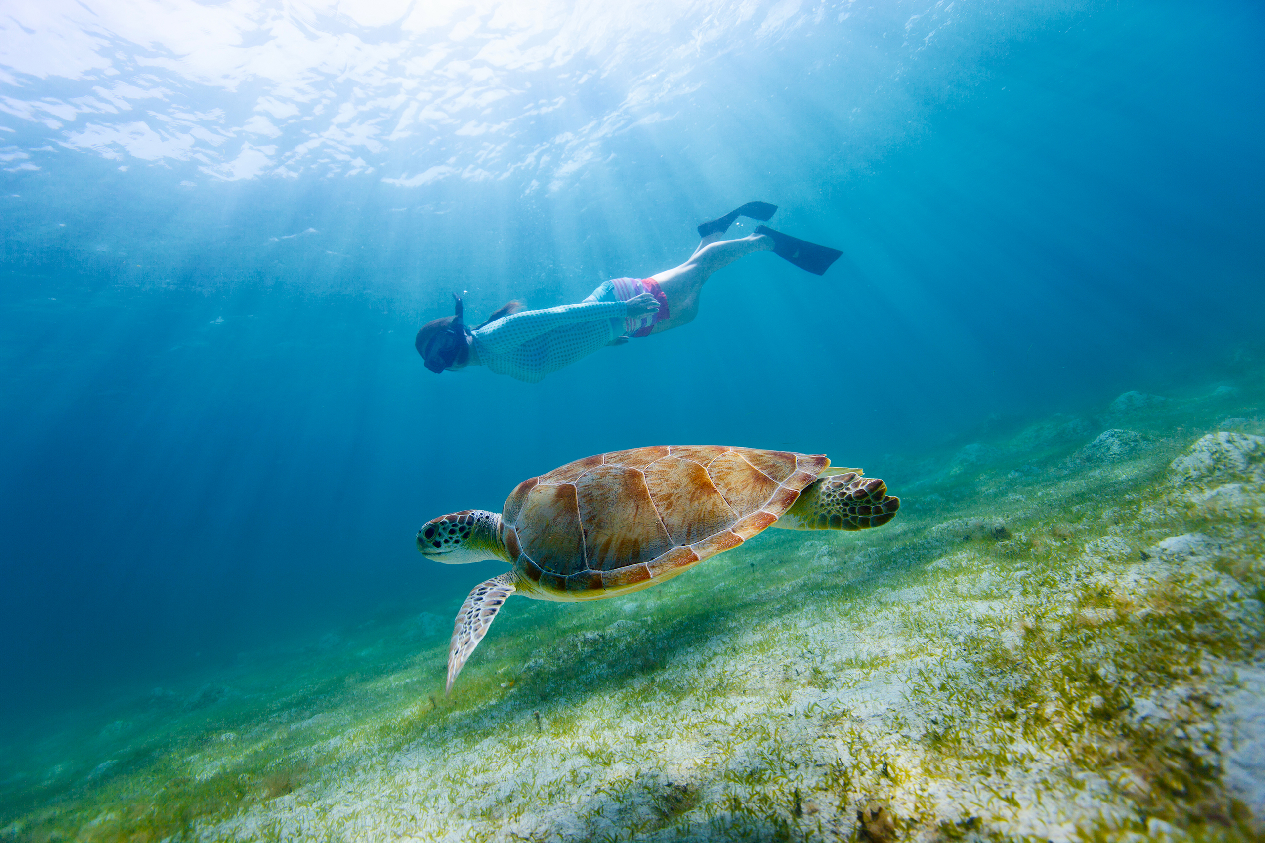 Woman Snorkeling with Sea Turtle
