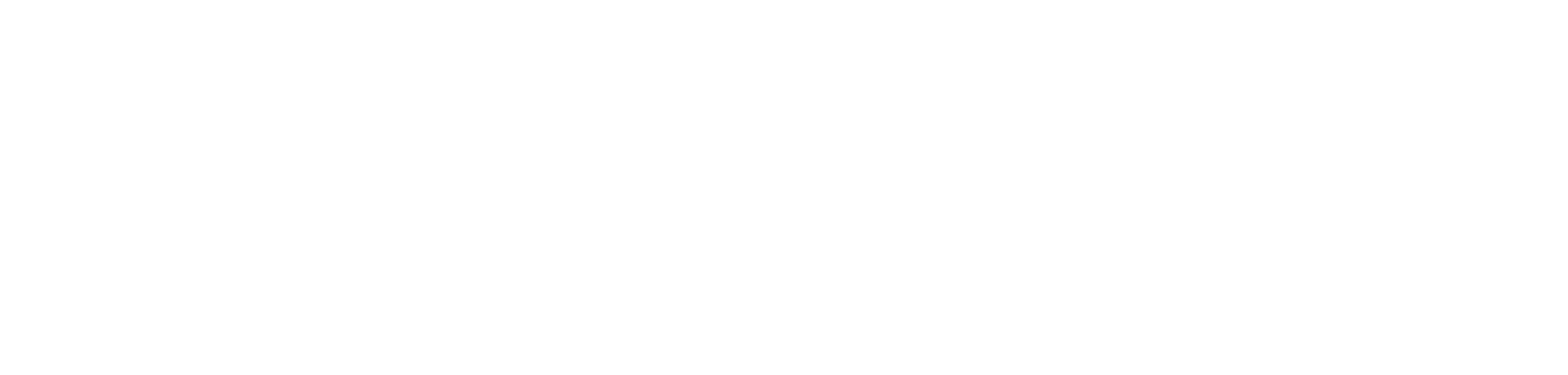 Southworth Logo
